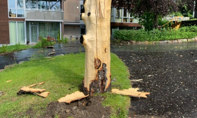 image: - Som en eksplosjon